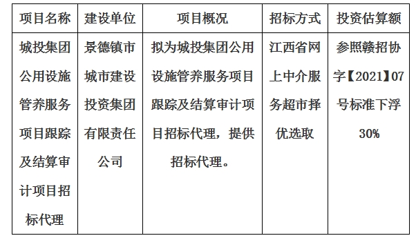 城投集團公用設施管養(yǎng)服務項目跟蹤及結算審計項目招標代理計劃公告